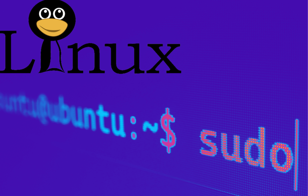 Linux Essentials: From Beginner to Pro